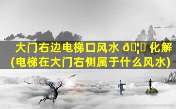大门右边电梯口风水 🦍 化解(电梯在大门右侧属于什么风水)